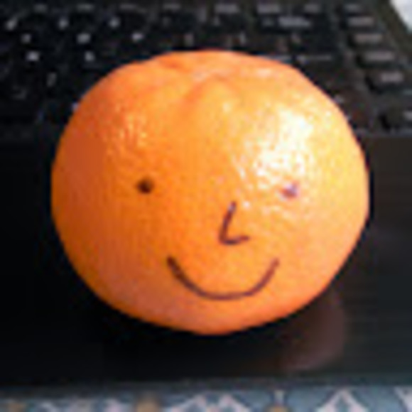 Meet your Posher, Sam - Picture 1 of 1